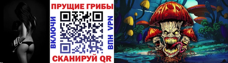 где продают   Зея  Псилоцибиновые грибы Cubensis 